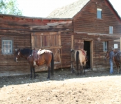 Montana2008 579